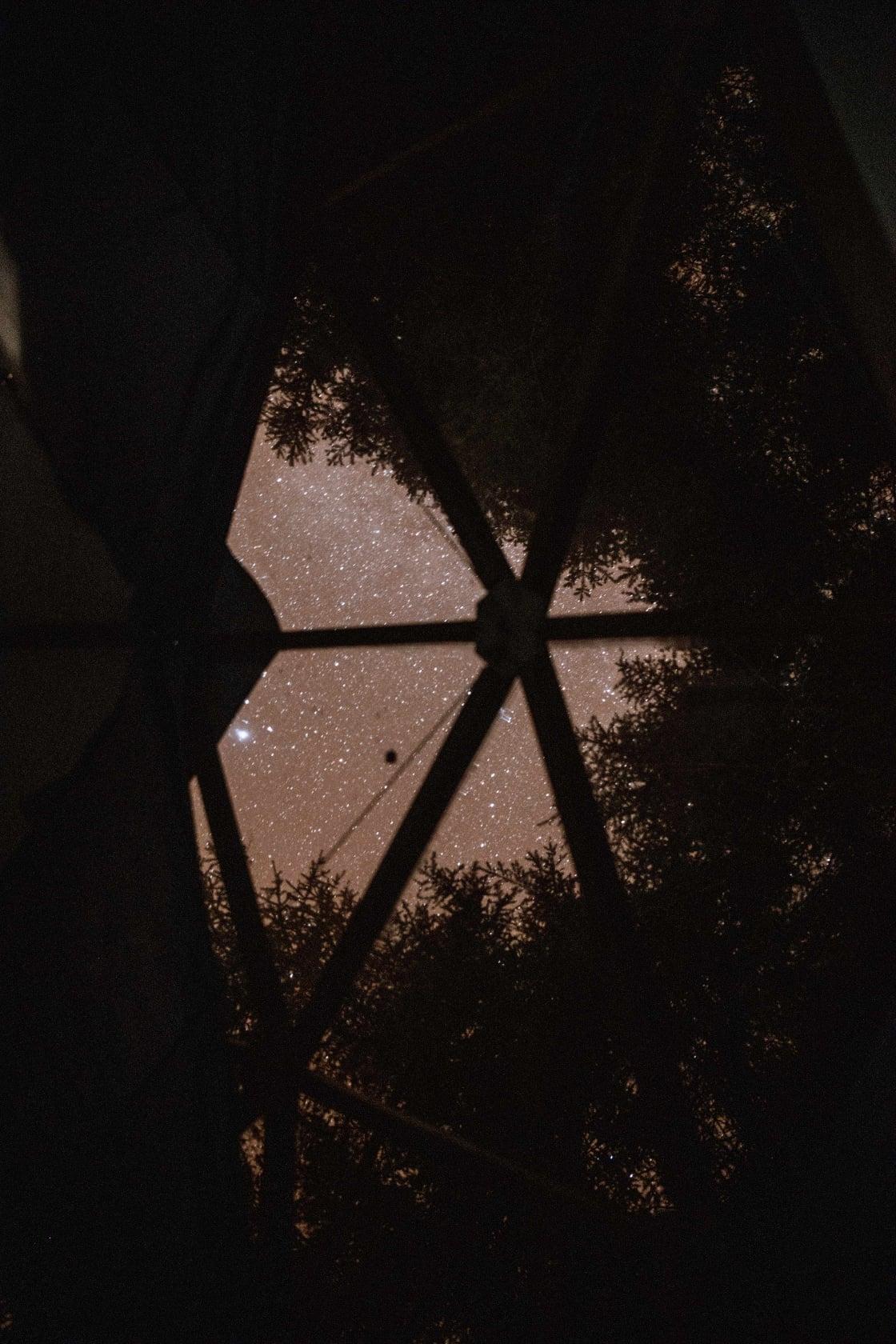 Carte cadeau GreenGo