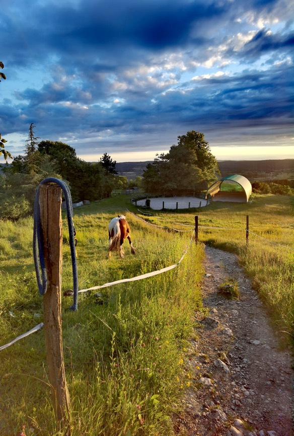 Logement insolite Jura En forêt