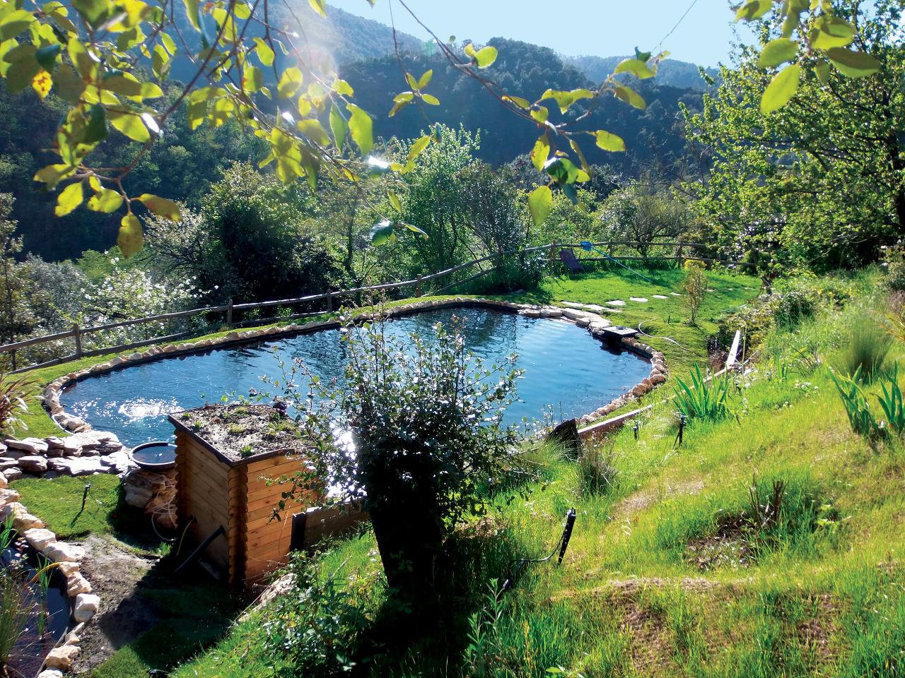 Hôte GreenGo: Mas cévennes, piscine naturelle, charme exception - Image 27