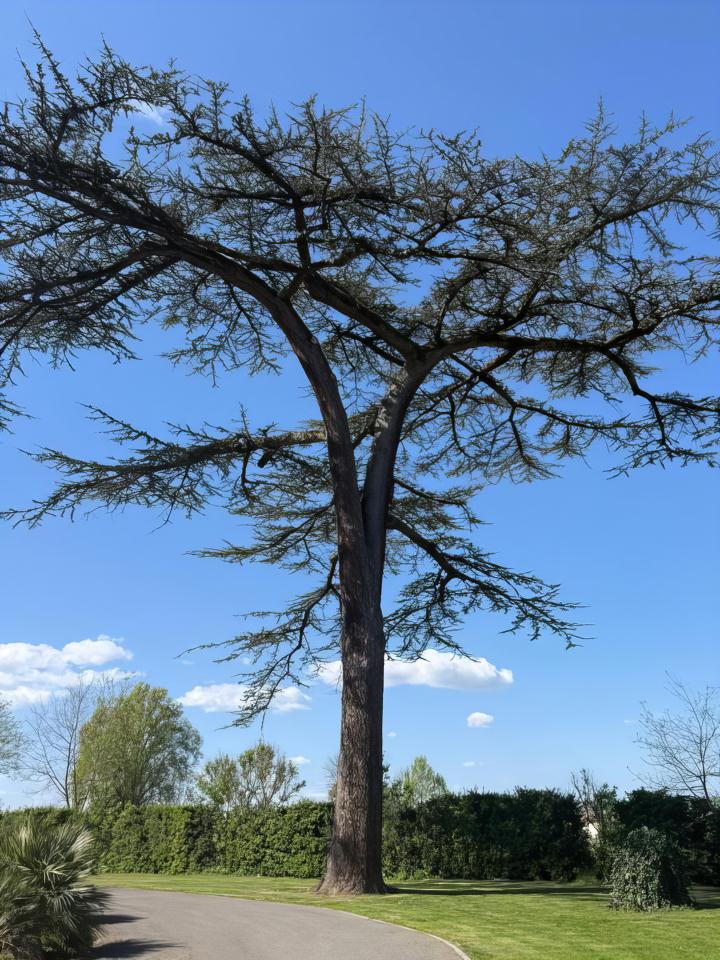 GreenGo location vacances écoresponsables