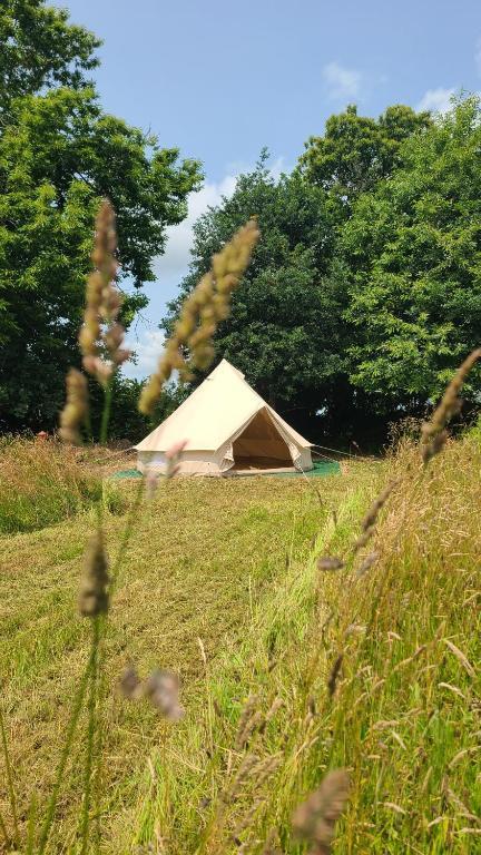 GreenGo L'ins'Temps Précieux