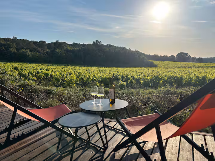 GreenGo Perdu au cœur des vignes