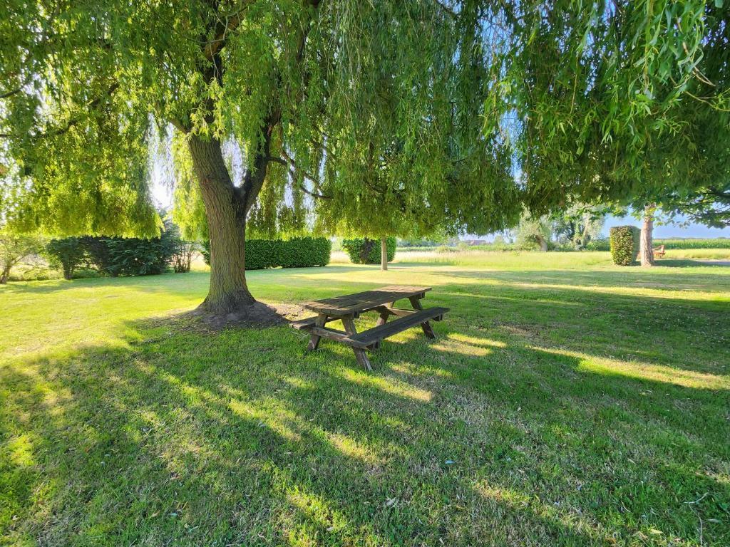 GreenGo location vacances écoresponsables