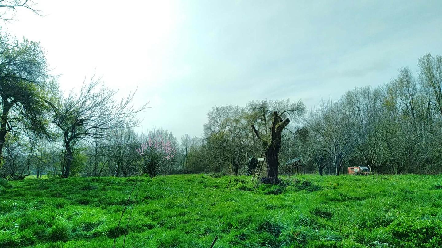 GreenGo location vacances écoresponsables