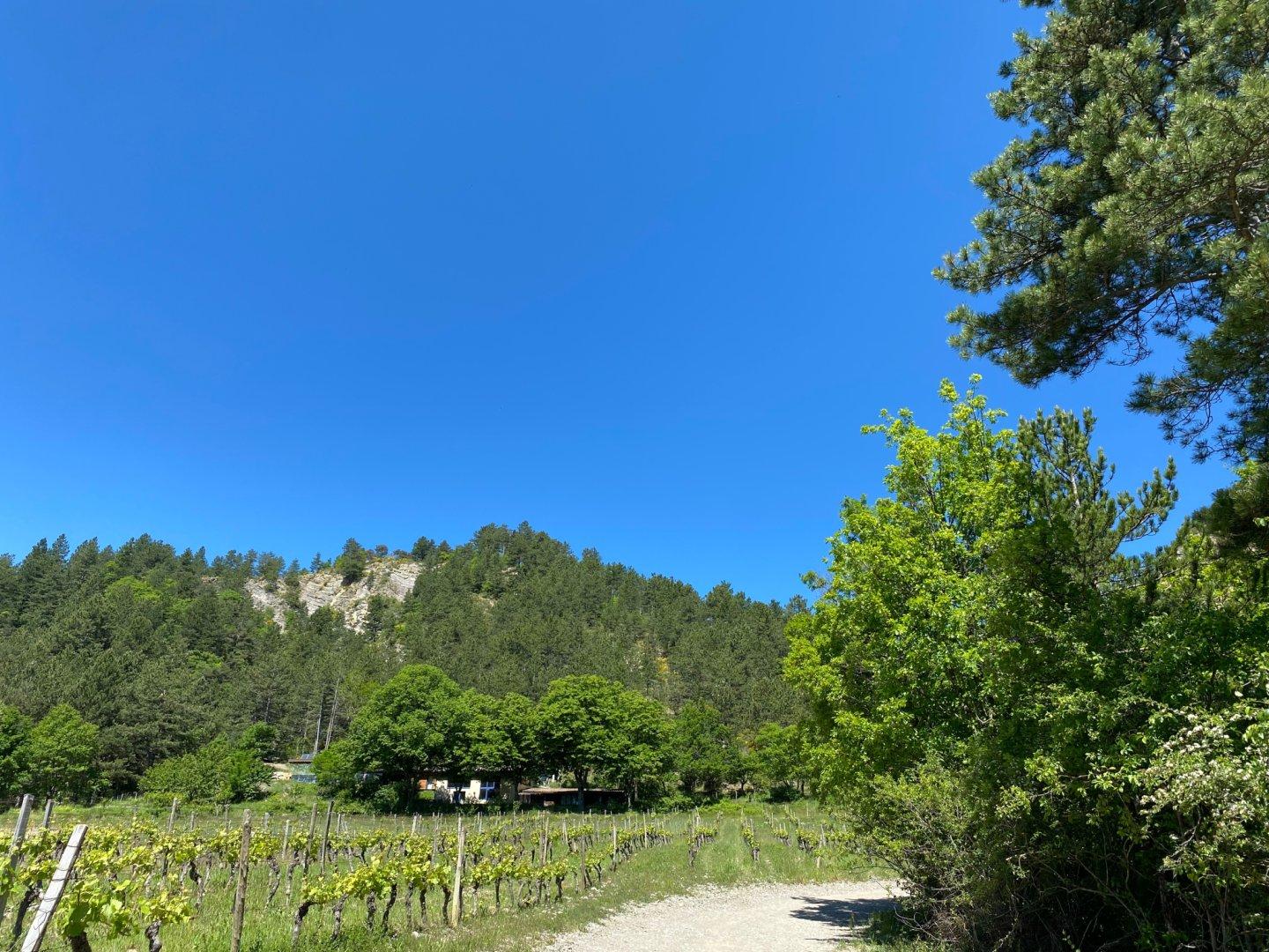 GreenGo Chambre d’hôtes Auvergne-Rhône-Alpes Évasion
