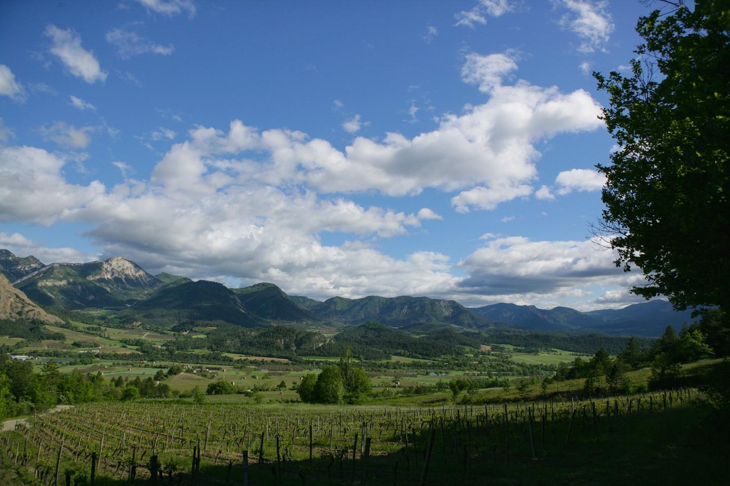 GreenGo location vacances écoresponsables