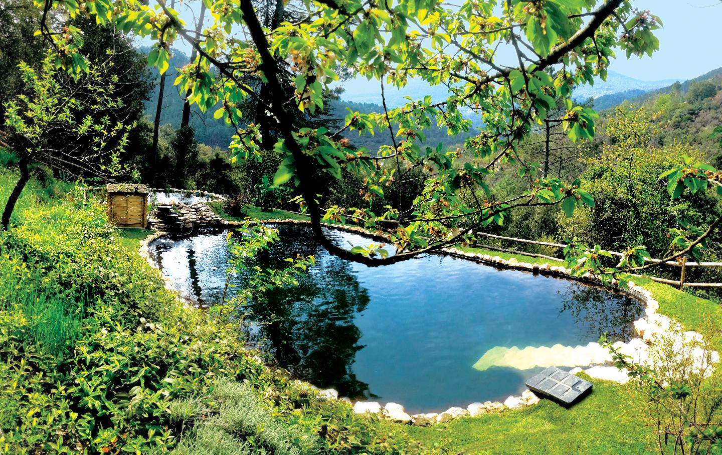 Hôte GreenGo: Mas cévennes, piscine naturelle, charme exception - Image 28