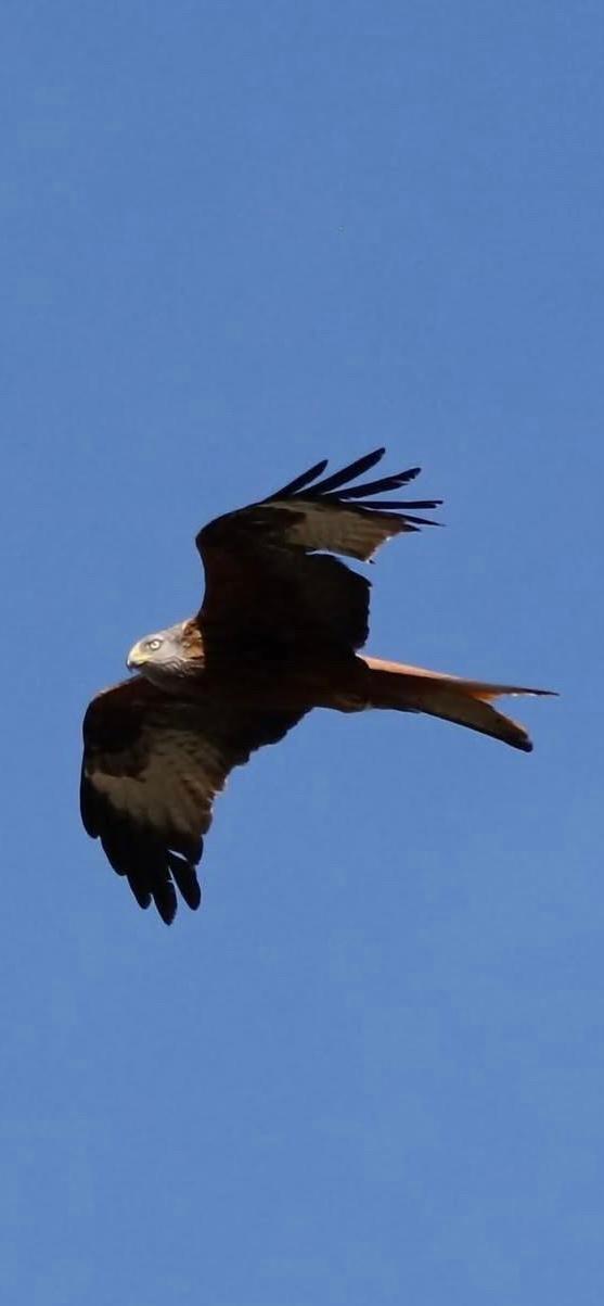 GreenGo location vacances écoresponsables