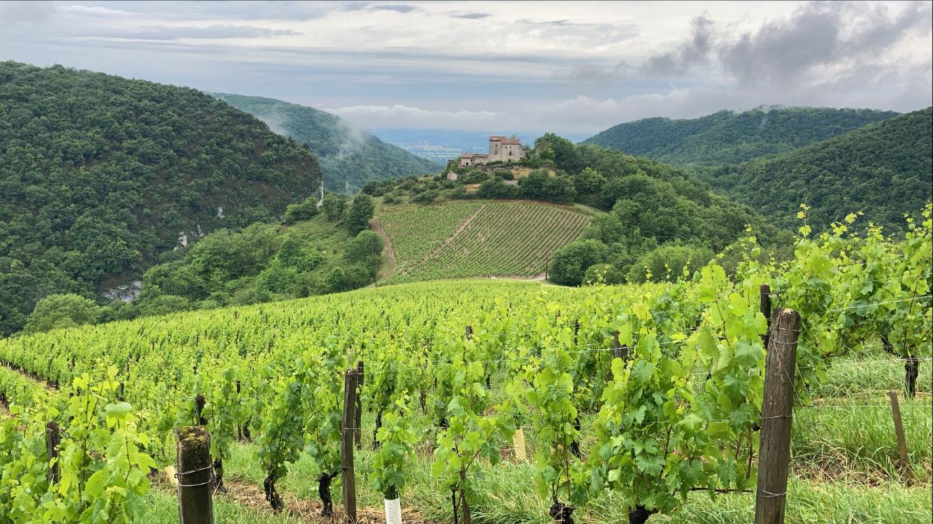 GreenGo Domaine Rondeau