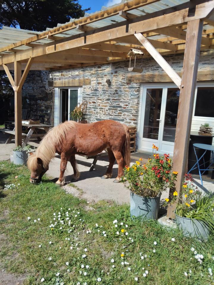 GreenGo La Ferme de la Brosse