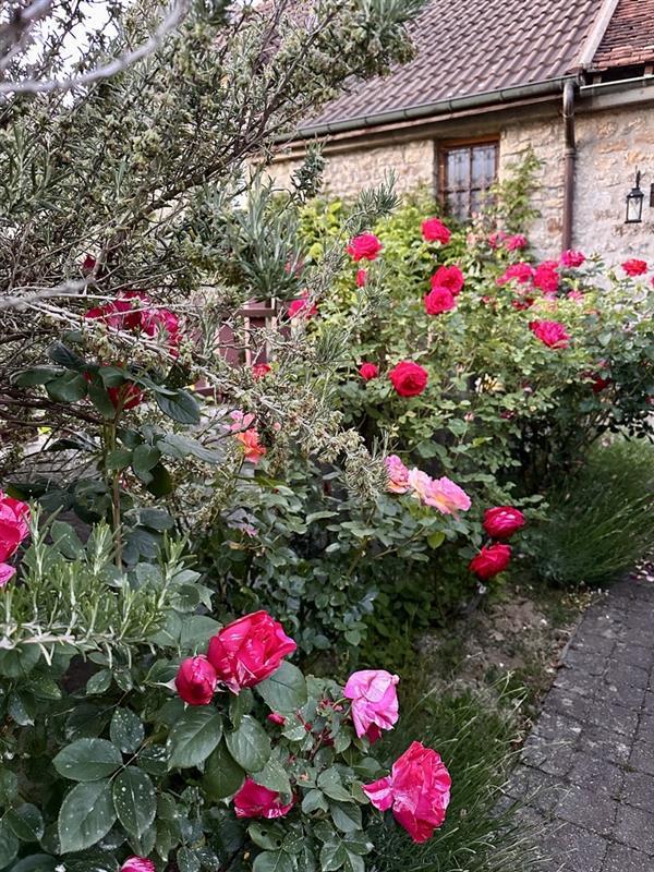 Carte cadeau GreenGo