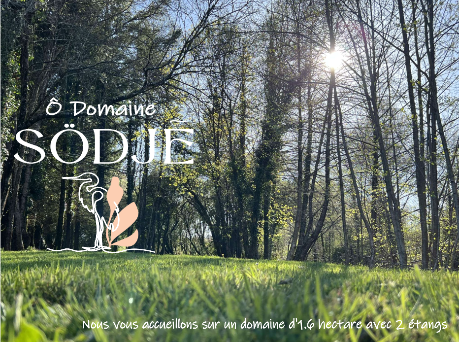 Ô domaine södjé