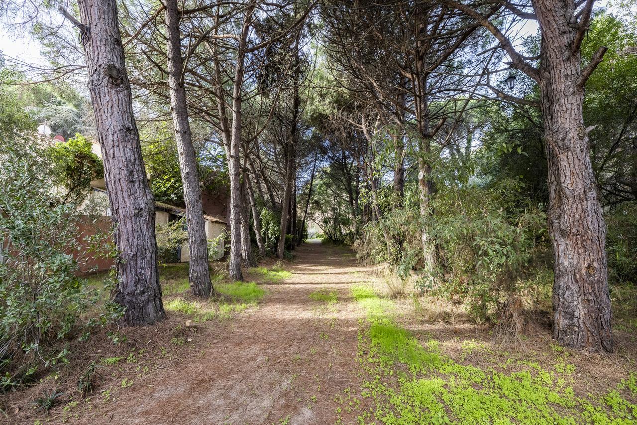 Hôte GreenGo: Allocigale, vos vacances sur une pinède de 2Ha avec piscine à Argeles sur mer, 5mn des plages - Image 16