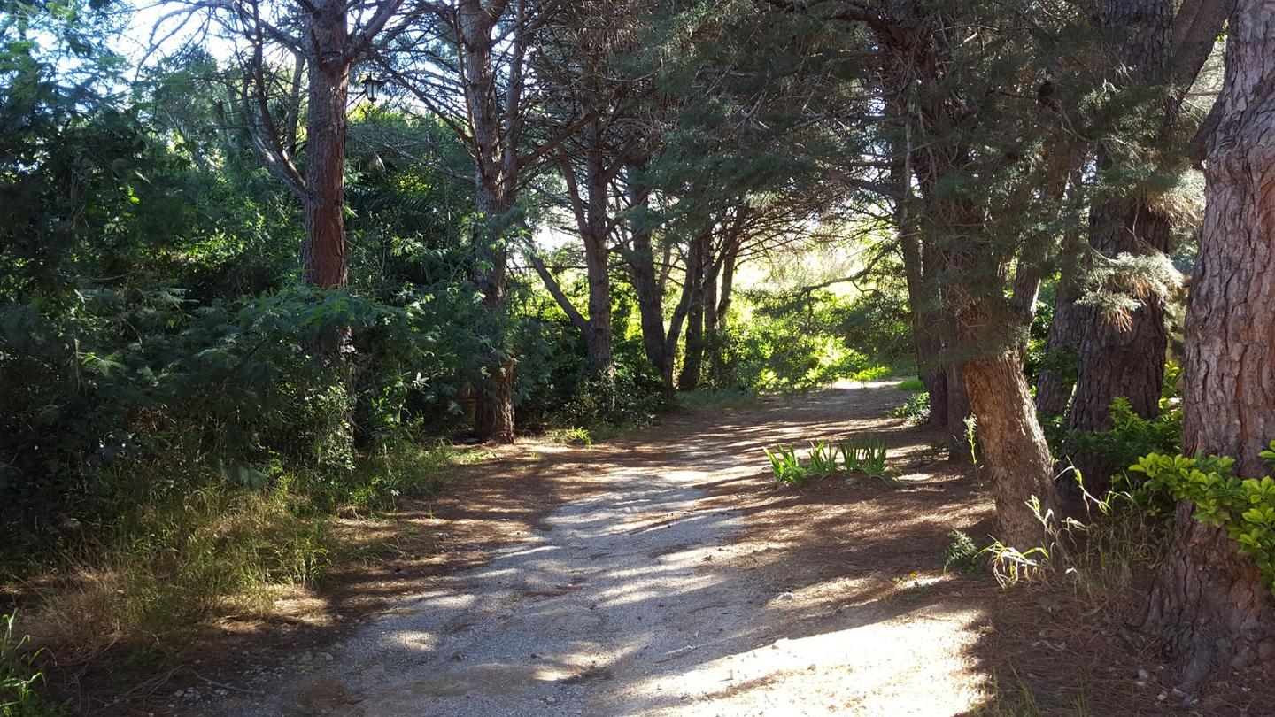 Hôte GreenGo: Allocigale, vos vacances sur une pinède de 2Ha avec piscine à Argeles sur mer, 5mn des plages - Image 11