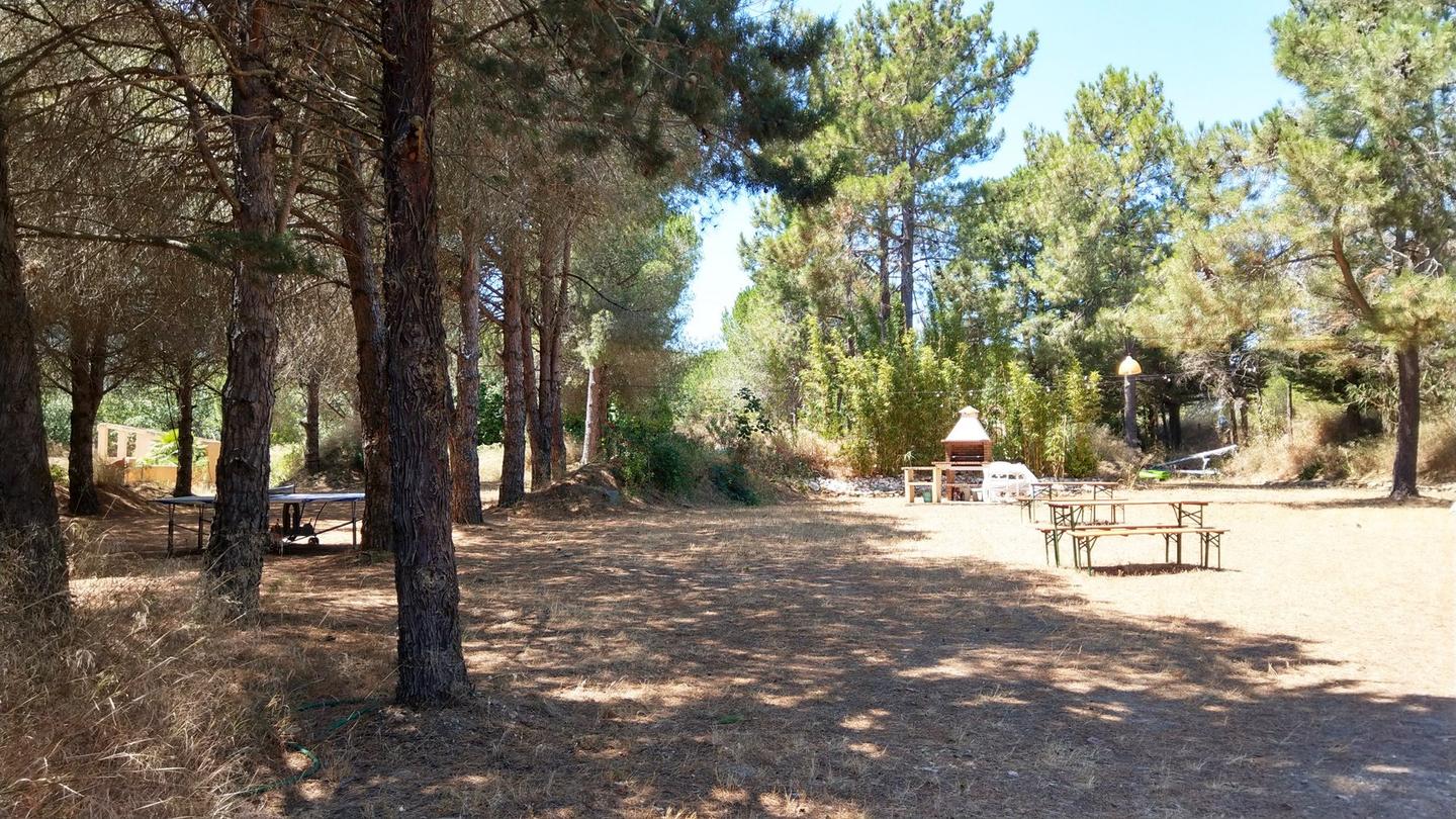 Hôte GreenGo: Allocigale, vos vacances sur une pinède de 2Ha avec piscine à Argeles sur mer, 5mn des plages - Image 12