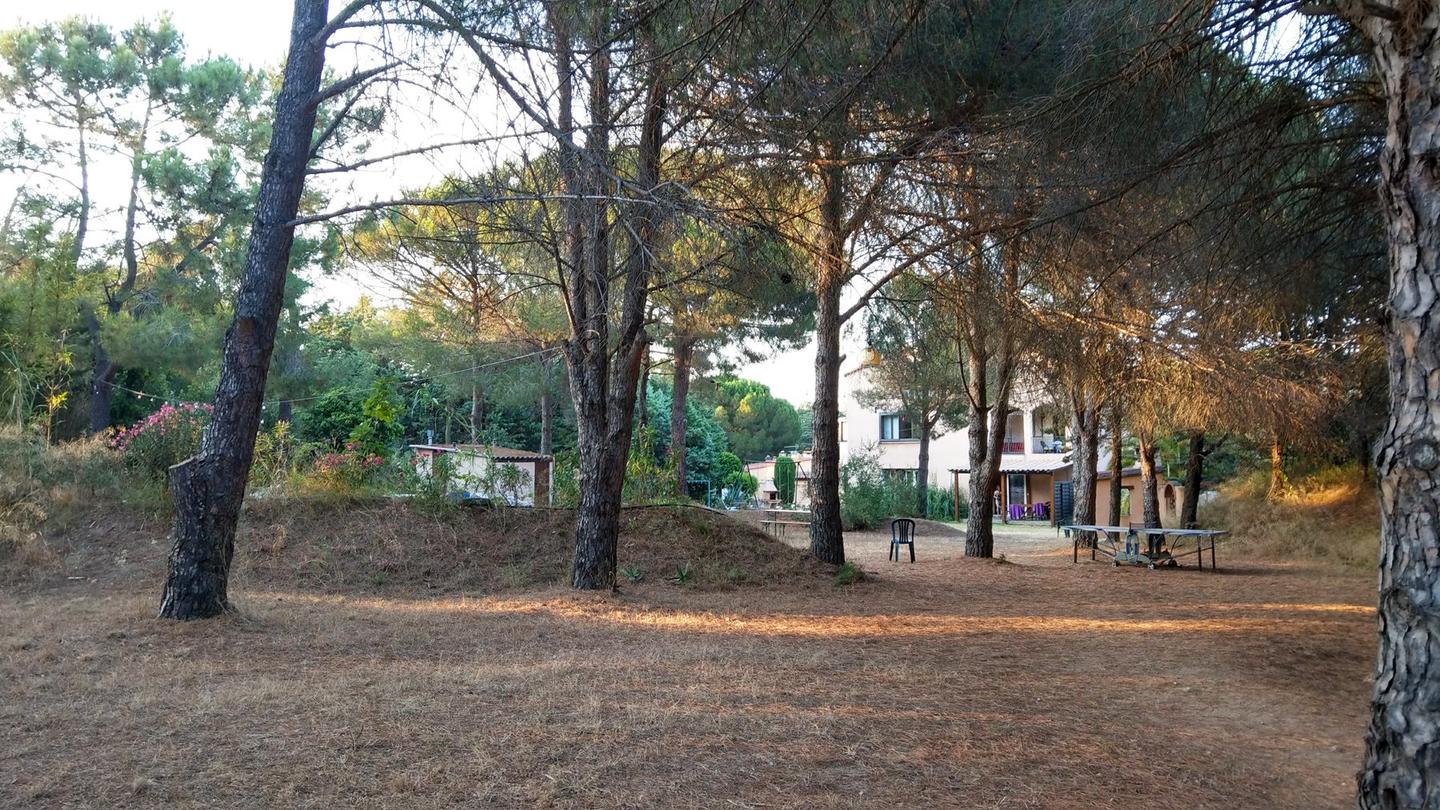 Hôte GreenGo: Allocigale, vos vacances sur une pinède de 2Ha avec piscine à Argeles sur mer, 5mn des plages - Image 10