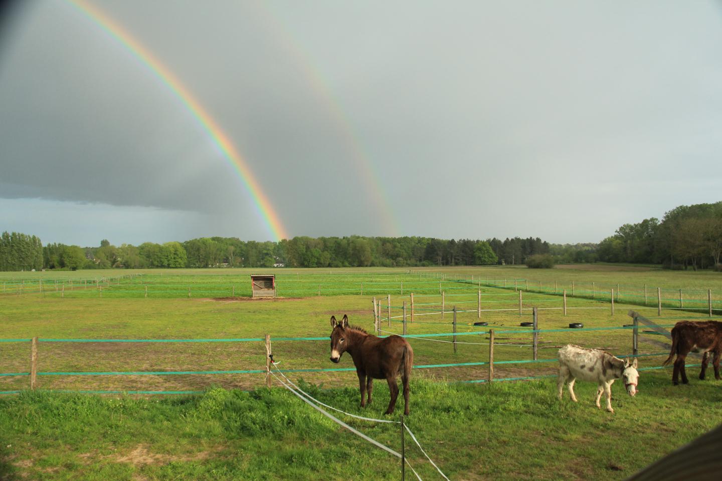 Hôte GreenGo: Gîte et Cab'Âne de Medeina - Image 12