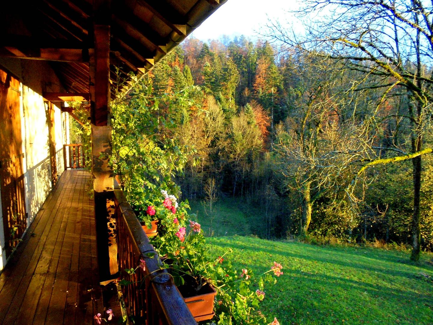 GreenGo location vacances écoresponsables
