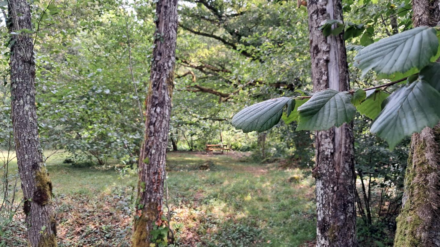 Hôte GreenGo: Domaine du Bandiat - Image 16