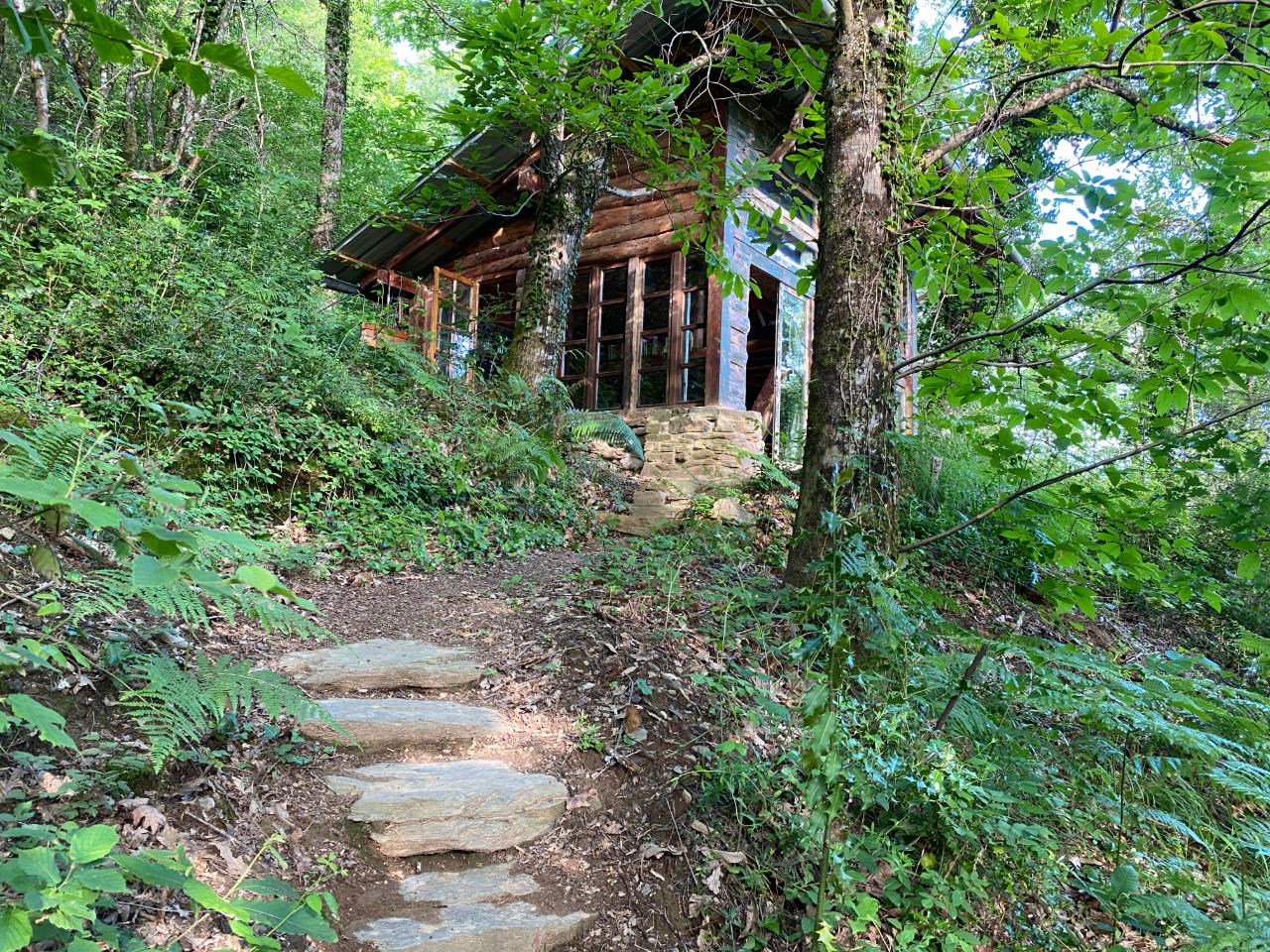 GreenGo La Maison dans la forêt