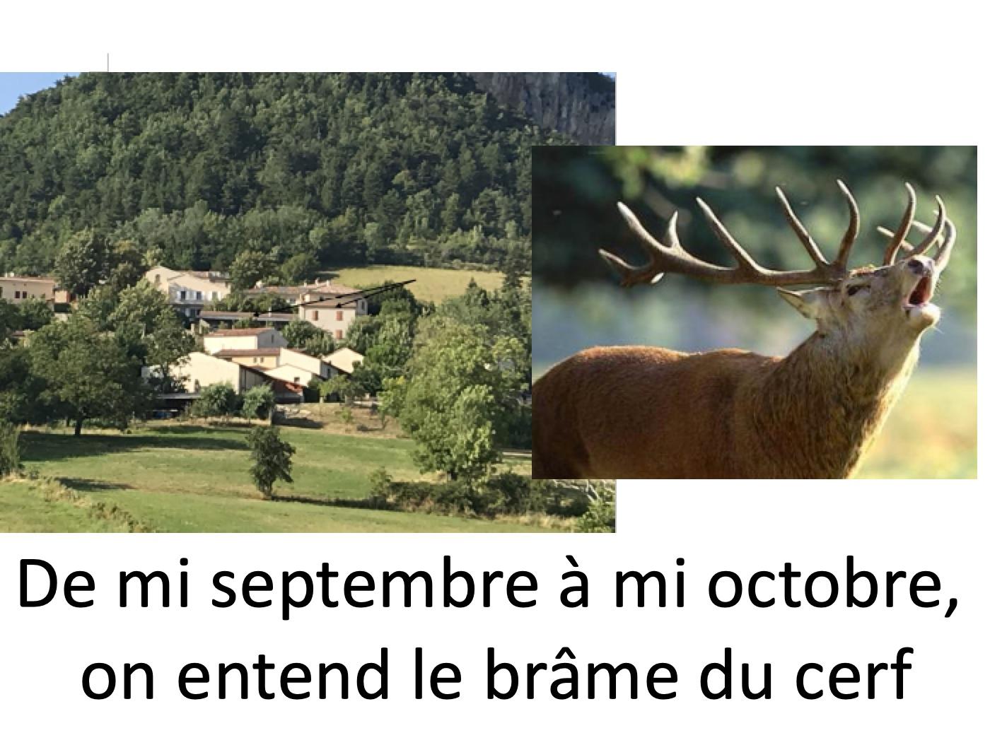 Hôte GreenGo: Esprit Drôme et Vercors. Vue magnifique.