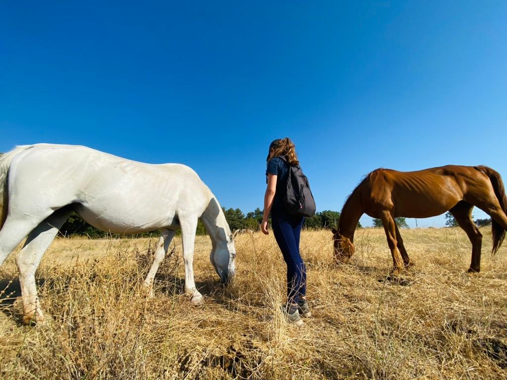 Cheval & Terre d'Accueil