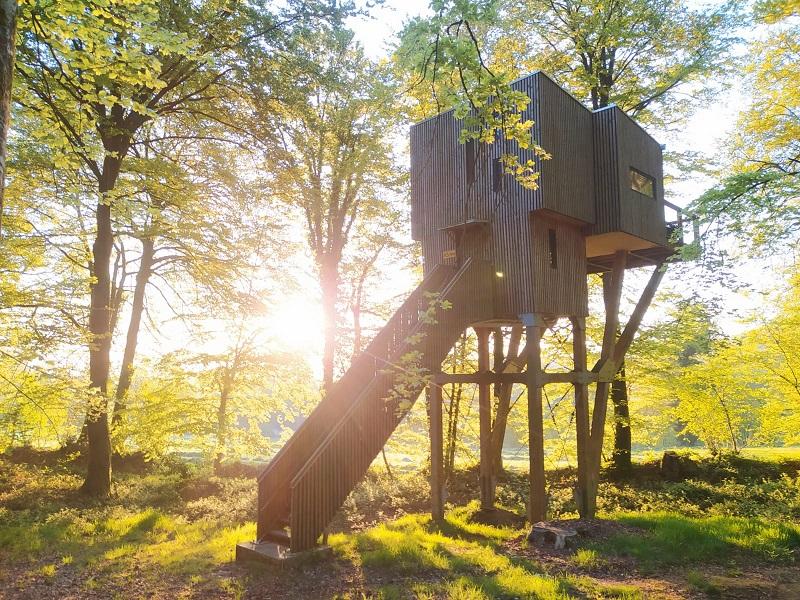 Hôte GreenGo: Etape en Forêt, locations insolites et loisirs nature sur un domaine de 10ha - Normandie, Calvados - Image 3