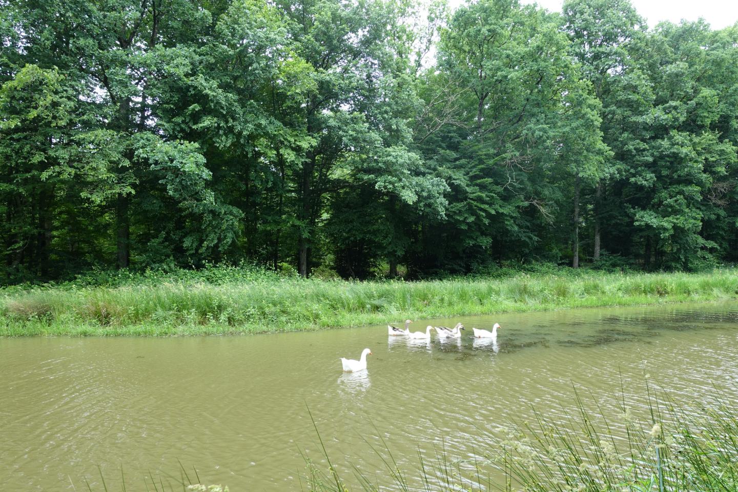 GreenGo Les Cabanes des Blots