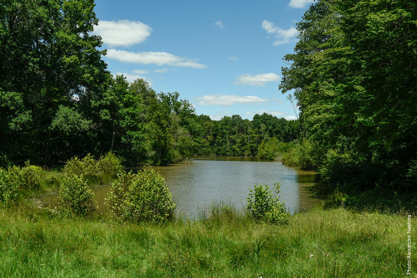 GreenGo Logement insolite Centre-Val de Loire Haut-de-gamme