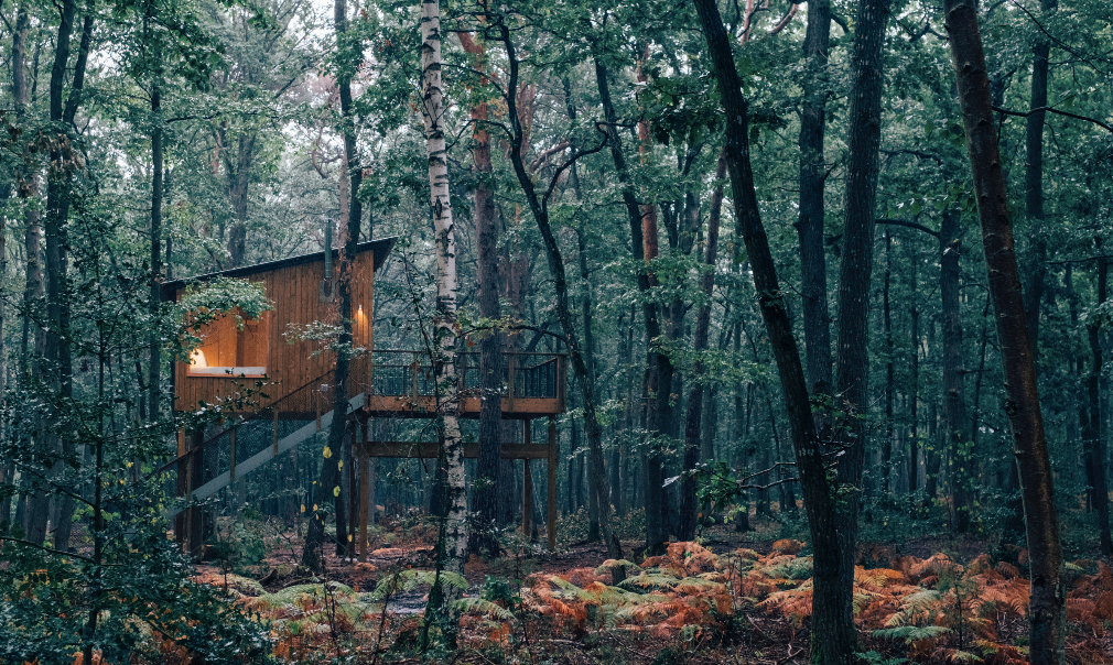 Hôte GreenGo: Youza ecolodge