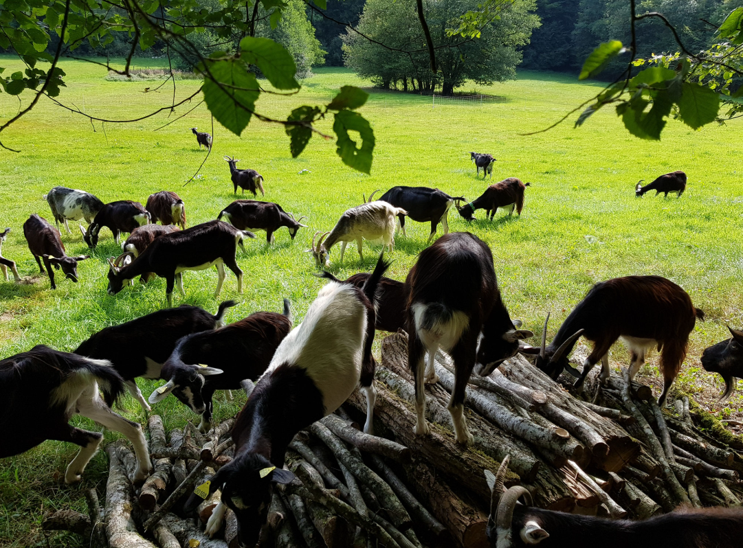 GreenGo Logement insolite Bourgogne-Franche-Comté Évasion