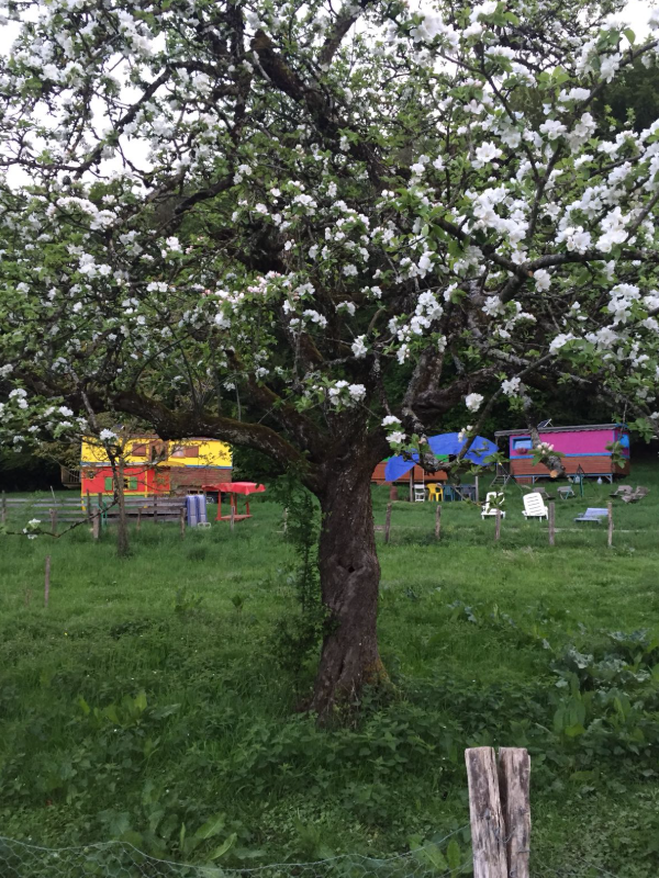 Carte cadeau GreenGo