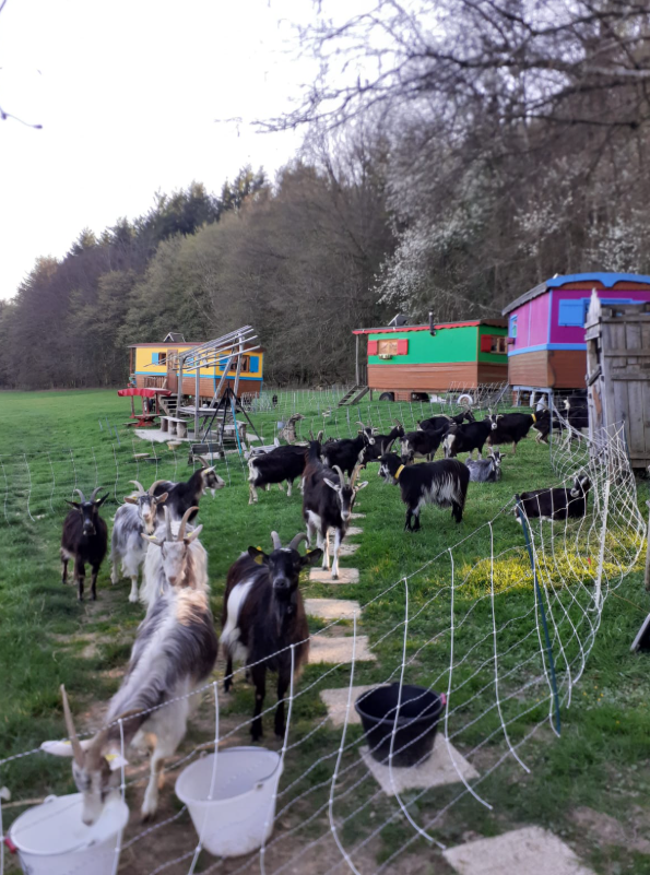 GreenGo Roulottes à la ferme