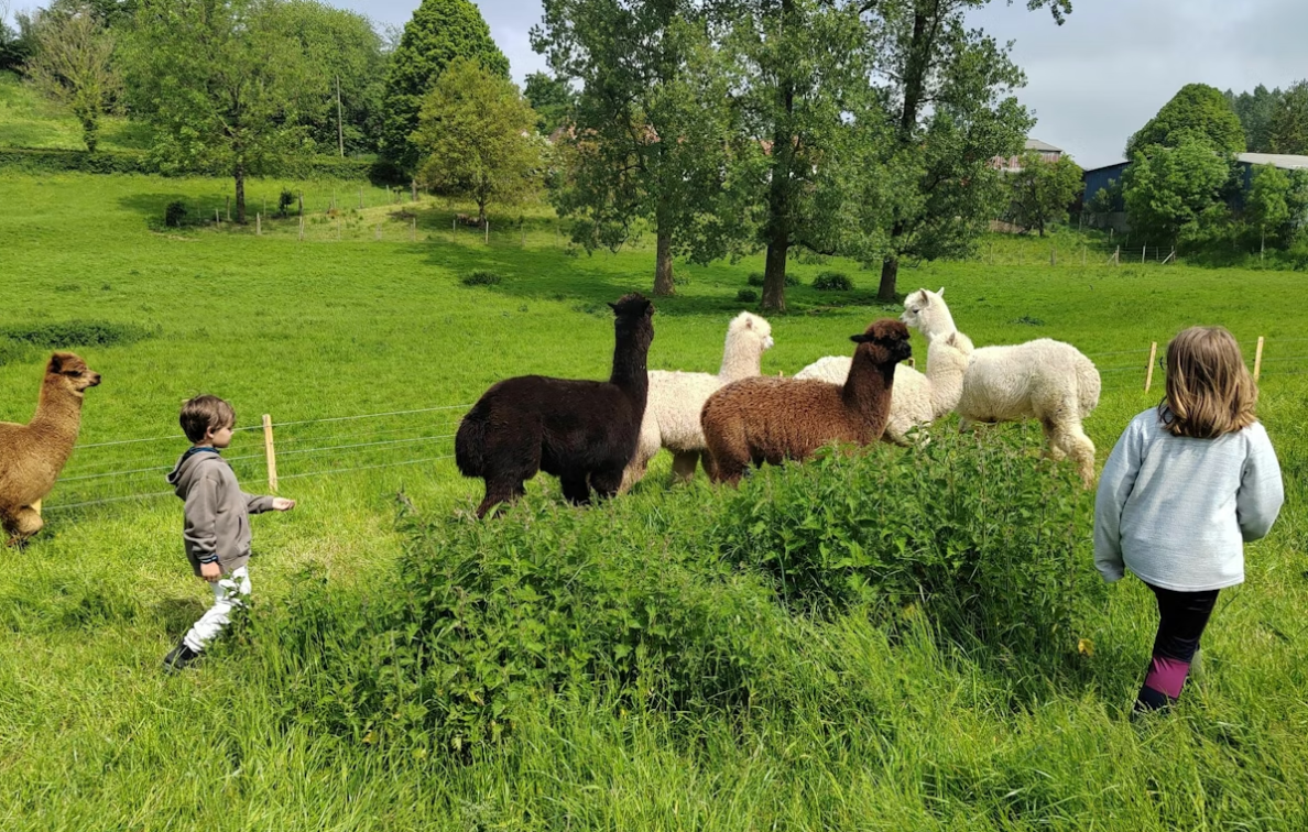 Hôte GreenGo: Écolodges à la fermette des trois tilleuls - Image 3