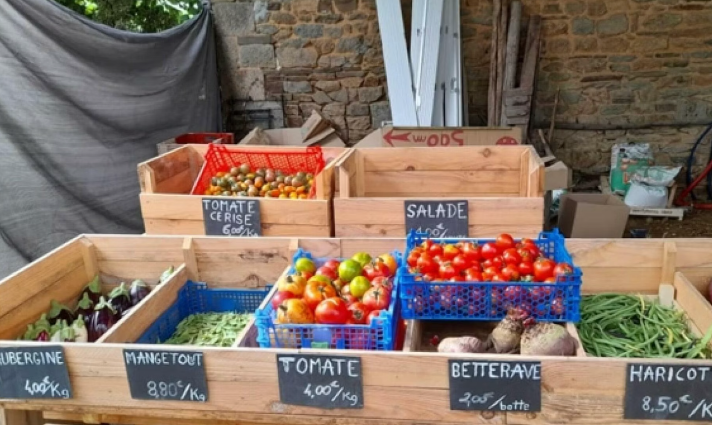 Hôte GreenGo: Écolodges à la ferme Les Jardins des Coccinelles - Image 7