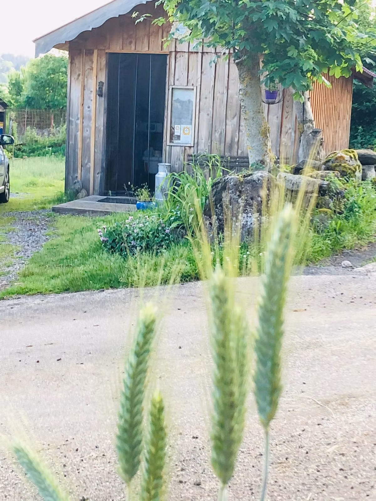 GreenGo Chambre d’hôtes Auvergne-Rhône-Alpes Évasion