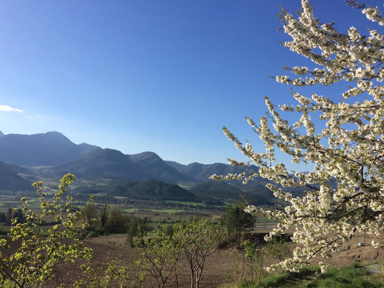GreenGo Chambre d’hôtes Auvergne-Rhône-Alpes Évasion