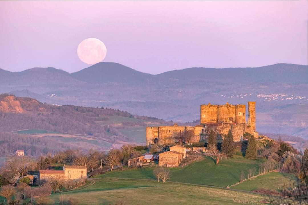 GreenGo location vacances écoresponsables