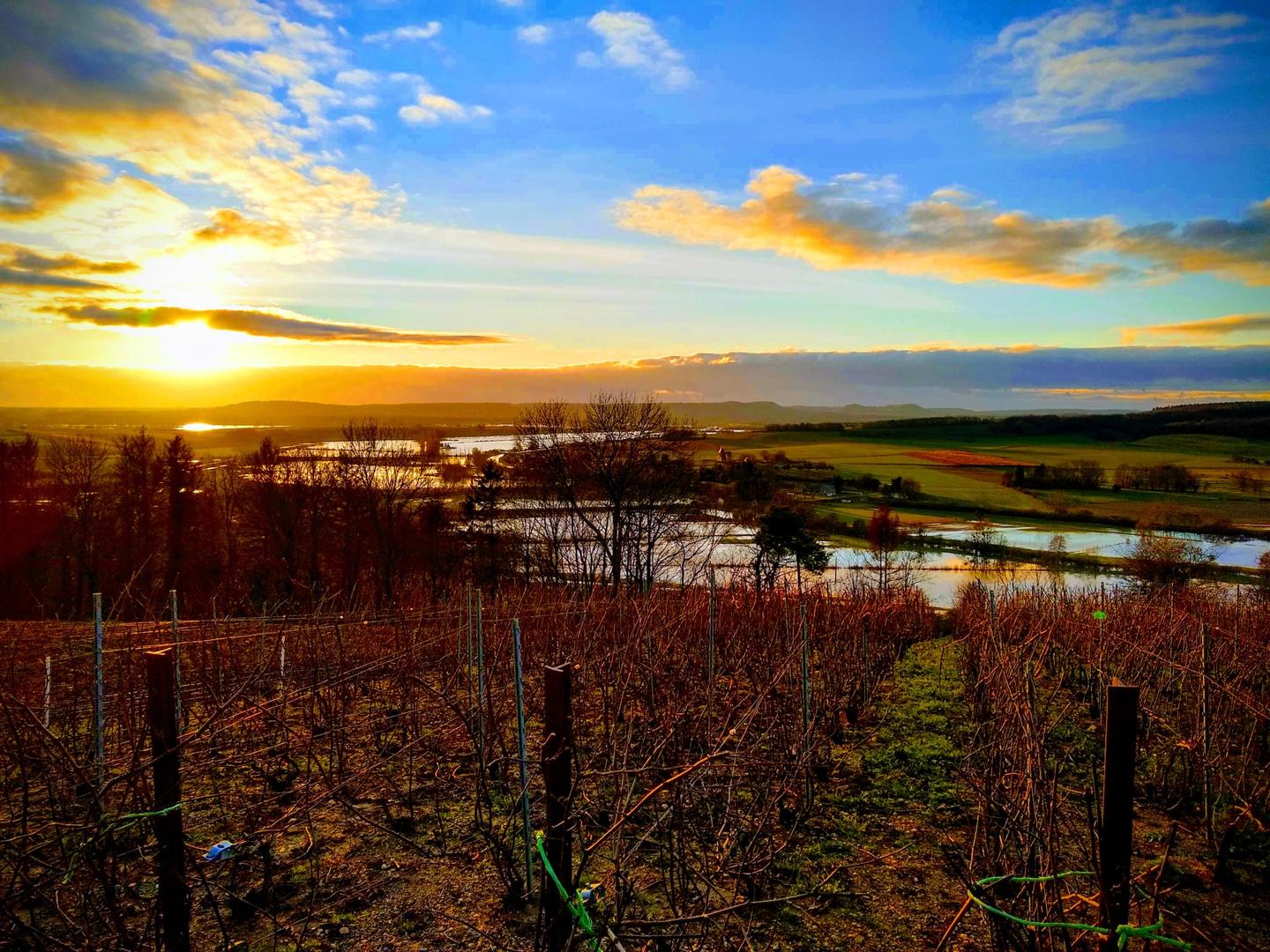 Location Ardennes À la campagne