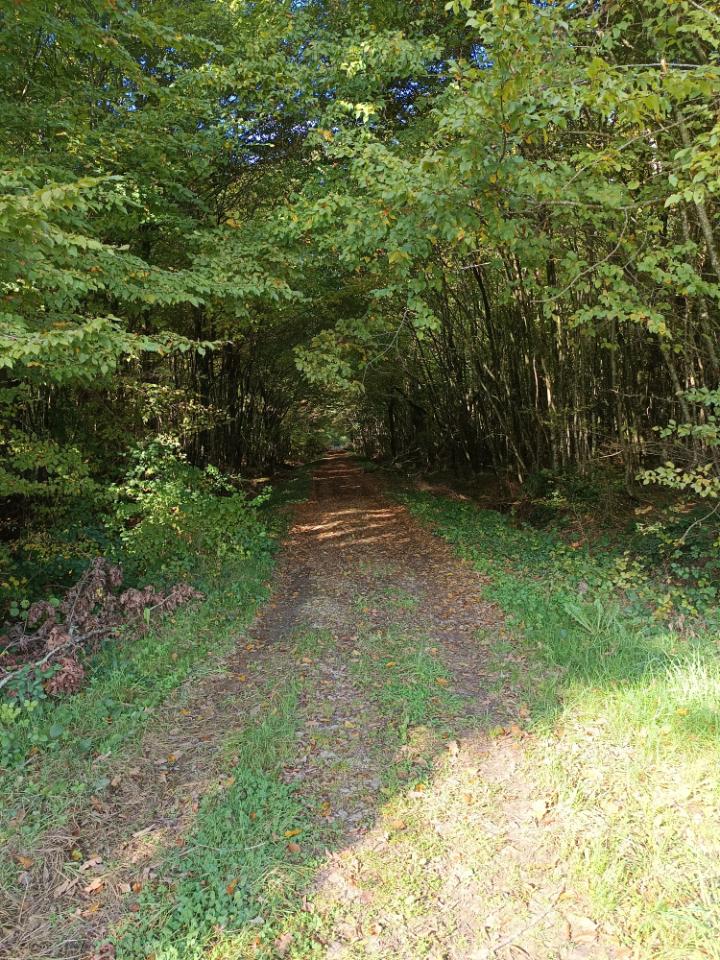 GreenGo Chambre d’hôtes Bourgogne-Franche-Comté Évasion