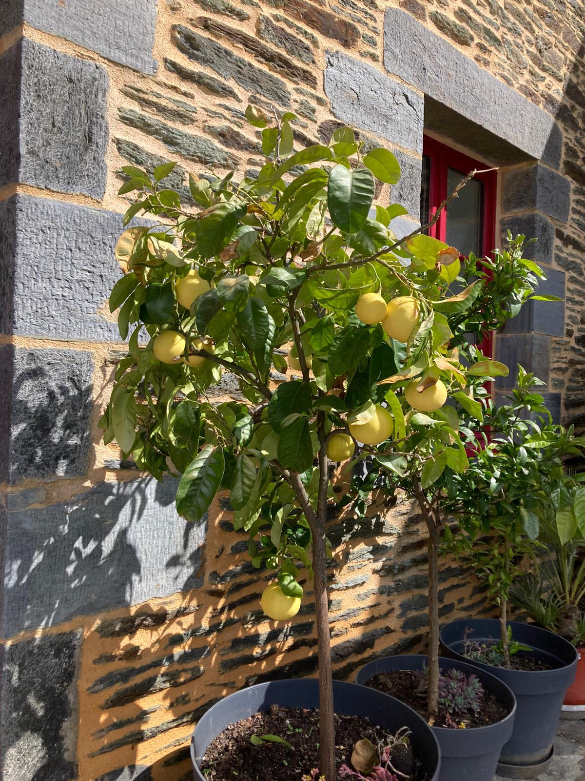 GreenGo Chambre d’hôtes Bretagne Évasion