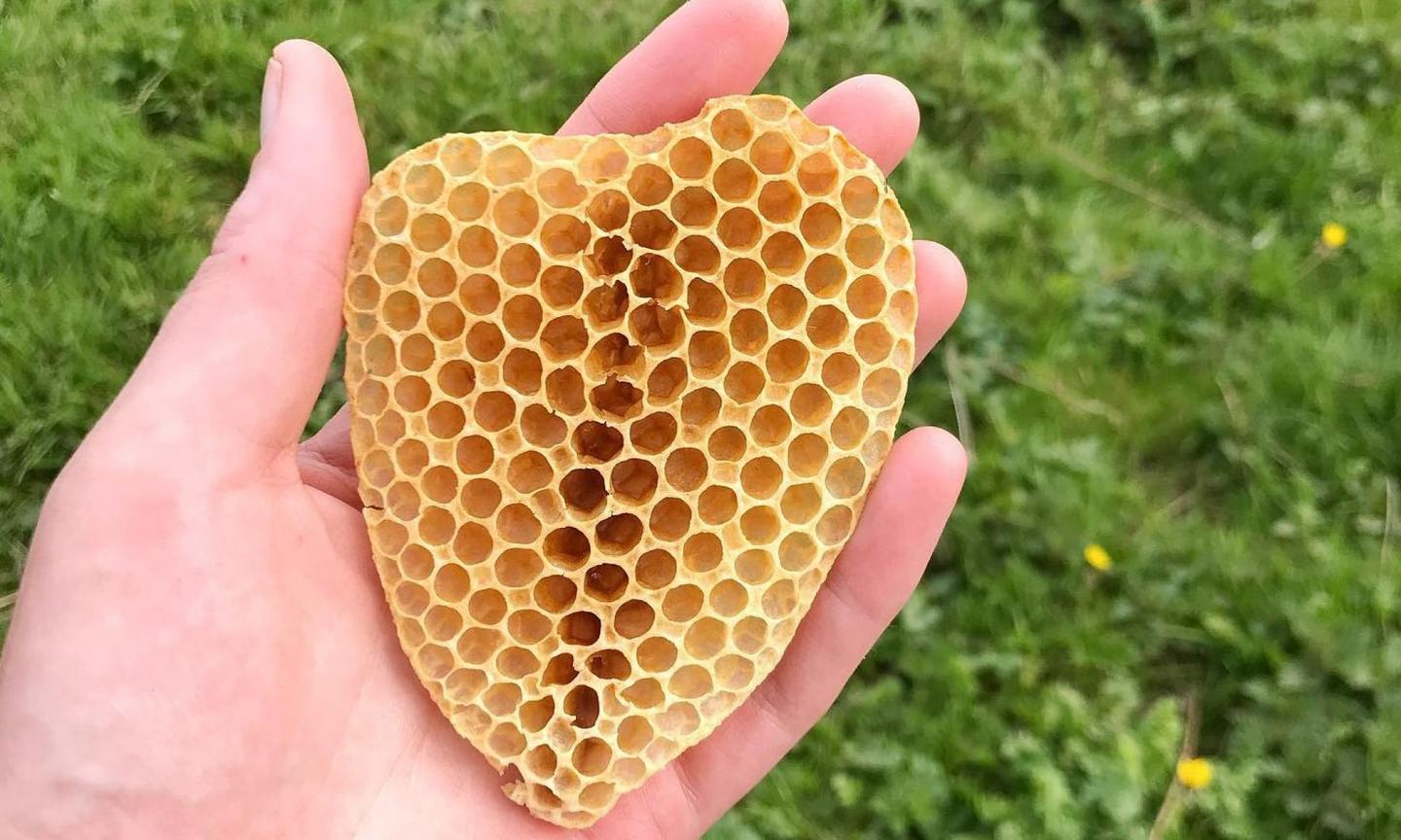 GreenGo Le Castéra entre Ciel et Terre