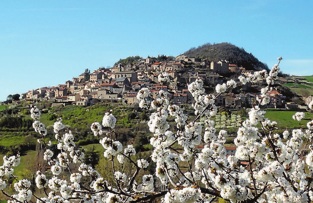 GreenGo location vacances écoresponsables