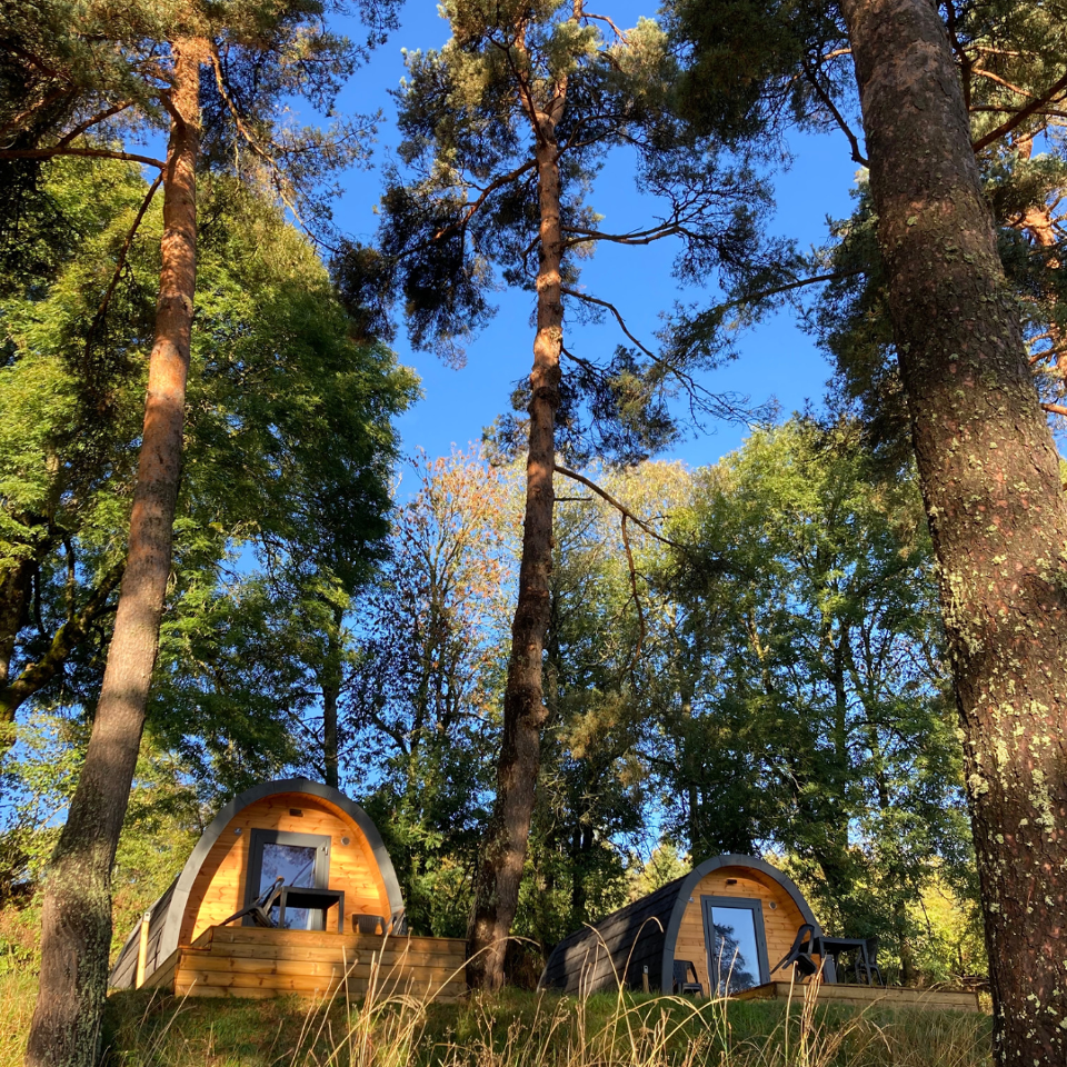 Hôte GreenGo: Le Camping Sérendipité - Image 6