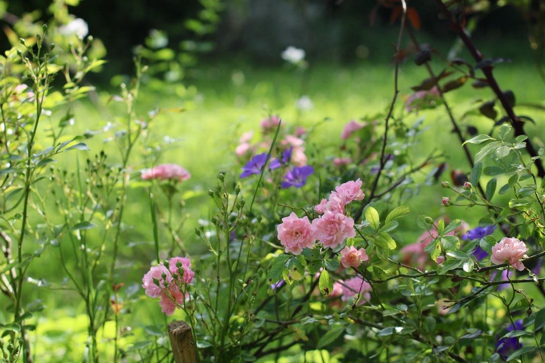 GreenGo location vacances écoresponsables