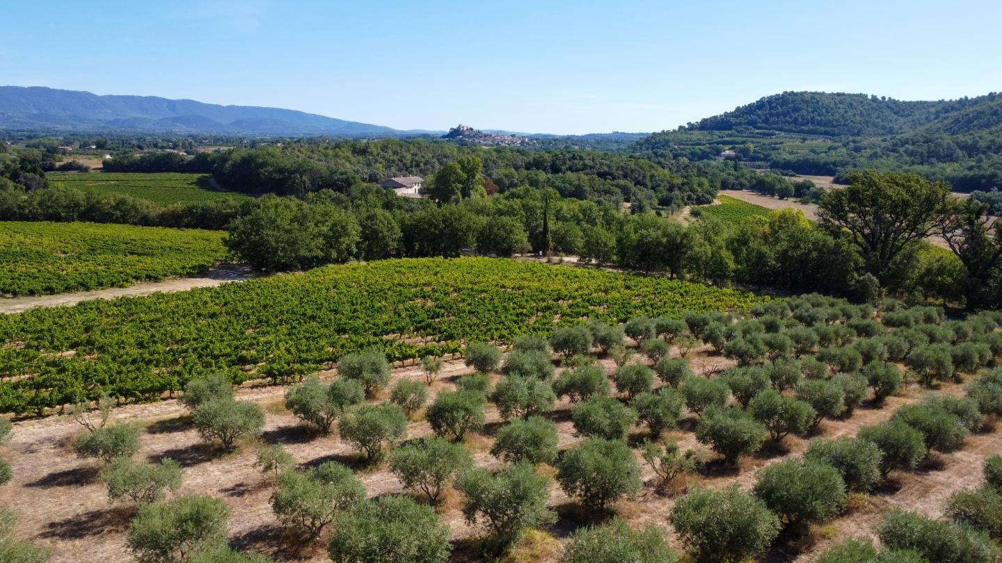 Carte cadeau GreenGo