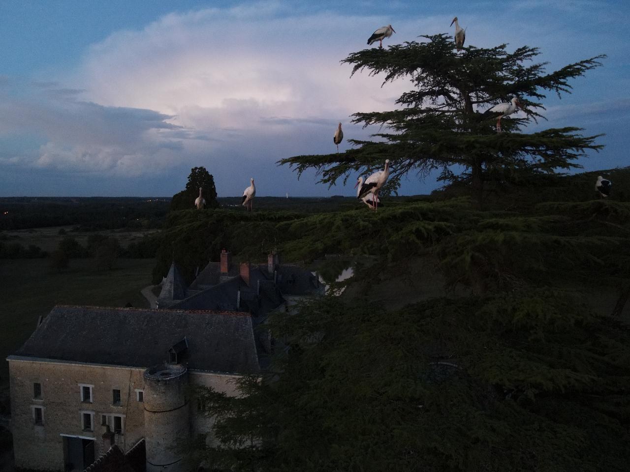 Hôte GreenGo: Château de Valesne - Image 11
