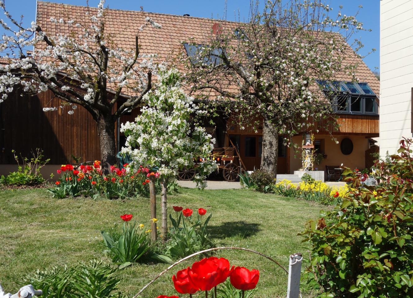 GreenGo Gîte le nid d'hirondelle