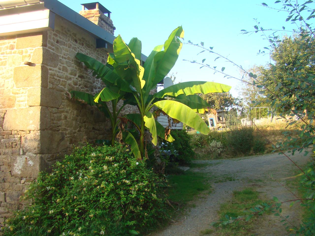 Hôte GreenGo: Le lièvre et la Tortue - Image 5