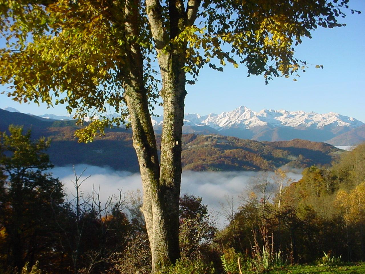 Hôte GreenGo: Hébergements écologiques en Ariège - Image 17